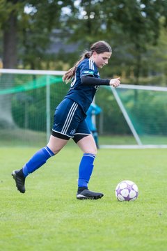 Bild 129 - B-Juniorinnen SV Henstedt Ulzburg - Hamburger SV : Ergebnis: 2:3